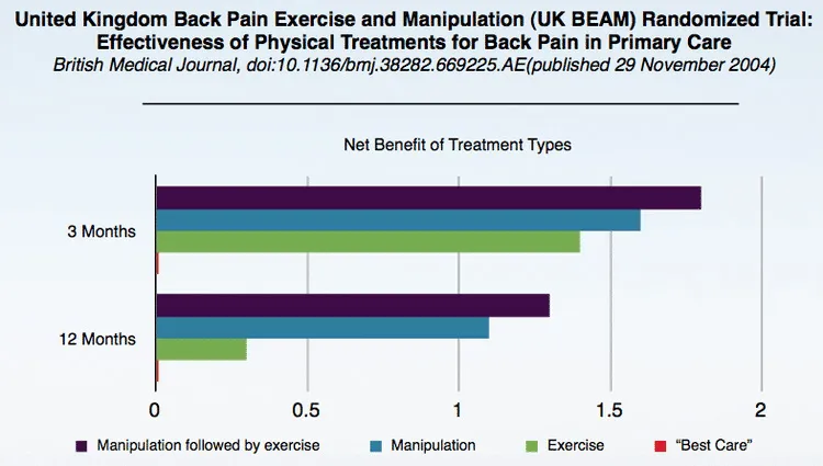 Chiropractic Livonia MI Treatment Types Chart