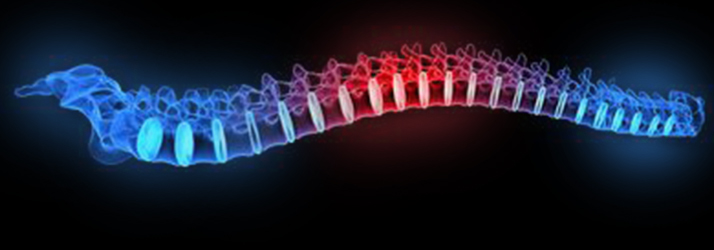 Chiropractic Livonia MI Corrective Care Chiropractic Livonia MI Corrective Care